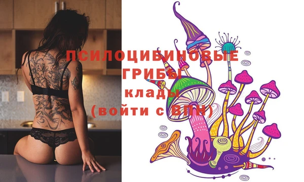 стаф Верея
