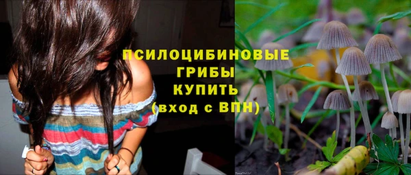 стафф Приозерск