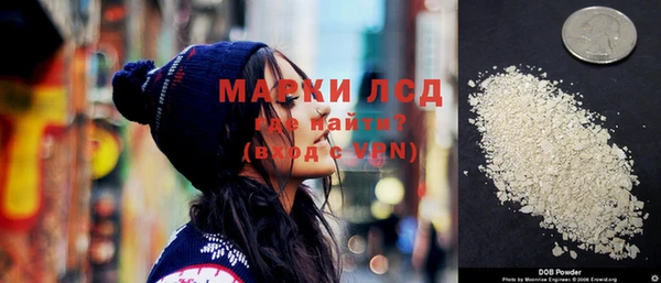 стаф Верея