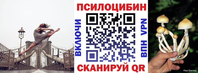 Псилоцибиновые грибы Psilocybine cubensis  Чишмы 